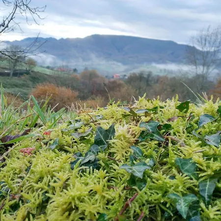El Balcon Del Horreo Piloña