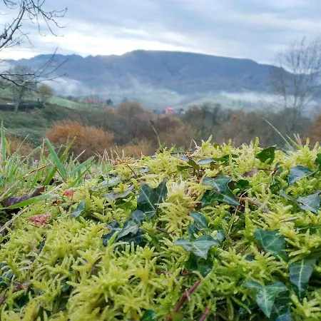 El Balcon Del Horreo Pilona